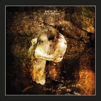 Pain of Salvation - Linoleum