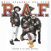 Apache - Real Academia del Flow