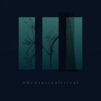 Whensurrealisreal - III