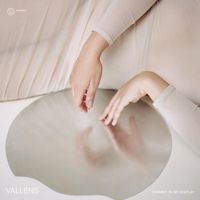 Vallens - Dimmed In My Display