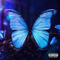 Thai Flow - Efeito Borboleta