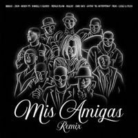 Brray - Mis Amigas (Remix)