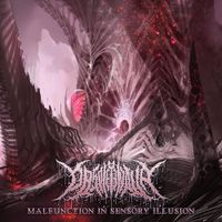 Obsoletenova - Malfunction in Sensory Illusion