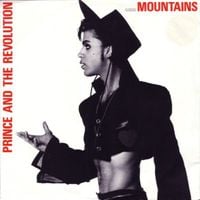 Prince and The Revolution - Mountains
