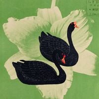Andrew - Swan Dive