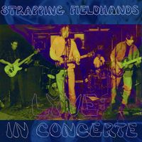 Strapping Fieldhands - LYVE: IN CONCRETE