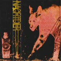 Nachtdier - Diagonal Stabwound Intervals