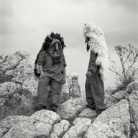 Black Foxxes - In the Image of Perfection