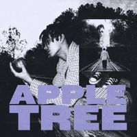 Spazi - Apple Tree