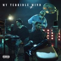 Talha Anjum - My Terrible Mind