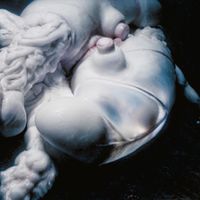Bj&ouml;rk - Arisen My Senses