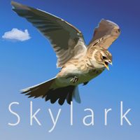 ExoNova - Skylark