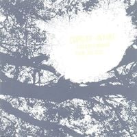 Comets On Fire - Field Recordings from the Sun