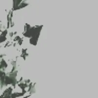 QueenAlexGhost - Once Removed, End Transmission