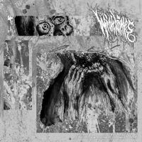 Windchimes - Frantically Grasping At Intangible Hands