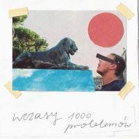 Wczasy - 1000 Problemow