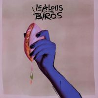 Jealous of the Birds - The Moths of What I Want Will Eat Me in My Sleep