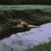 widowdusk - fall split