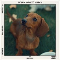 Gordo - Learn How to Watch