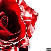 Sk8star - Rose