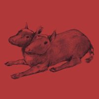 Quasi - Early Recordings
