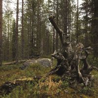 Various Artists - Nordvisor: Ett samlingsverk fr​&aring;​n Nordvis