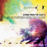 Various Artists - Storm From The East 2
