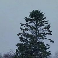 Post Modern - A Handful of Rain
