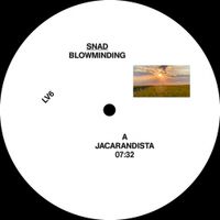 Snad - Blowminding