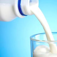 BIG MILK - BIG MILK