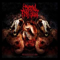 Mortal Torment - Resuscitation
