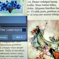 The Lampreys - Armistice