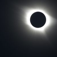 Angela Winter - staring at the sun