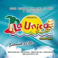 La &Uacute;nica Tropical - Sentimiento y Estilo