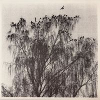 N&aelig;rv&aelig;ret - N&aring;r Man Ser Inn I En Annens Hjerte