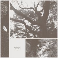박지하 [Park Jiha] - Blown Leaves