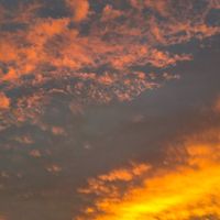 Human Is Alive - Thoughts