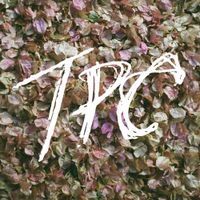 Tokyo Police Club - TPC