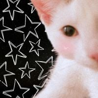 Plastic Sixwall - silly gay bweakcore awbum :3