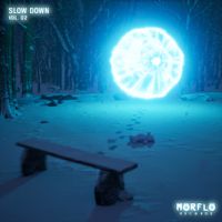 Various Artists - Slow Down, Vol. 2