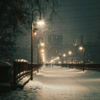 Disfigrium - Winter Lights