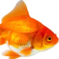Brennan Jones - Fishy