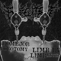 Facecutter - PROMO 2024