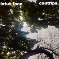 lotus face - cantrips.
