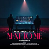 Don Diablo - Next To Me