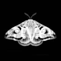 Martyn Hare - Emetic V