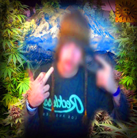 smokedope2016 - THE PEAK