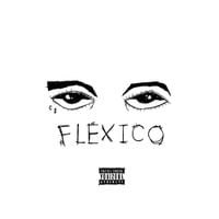 lade - Flexico