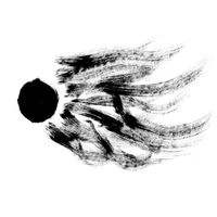 AGF - Dissidentova