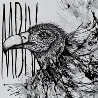 Moodie Black - MBIV